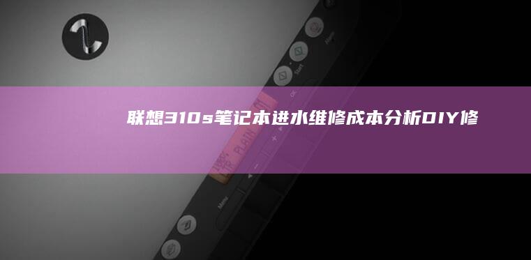 联想310s笔记本进水维修成本分析：DIY修复与官方售后对比指南 (联想310s-14isk)