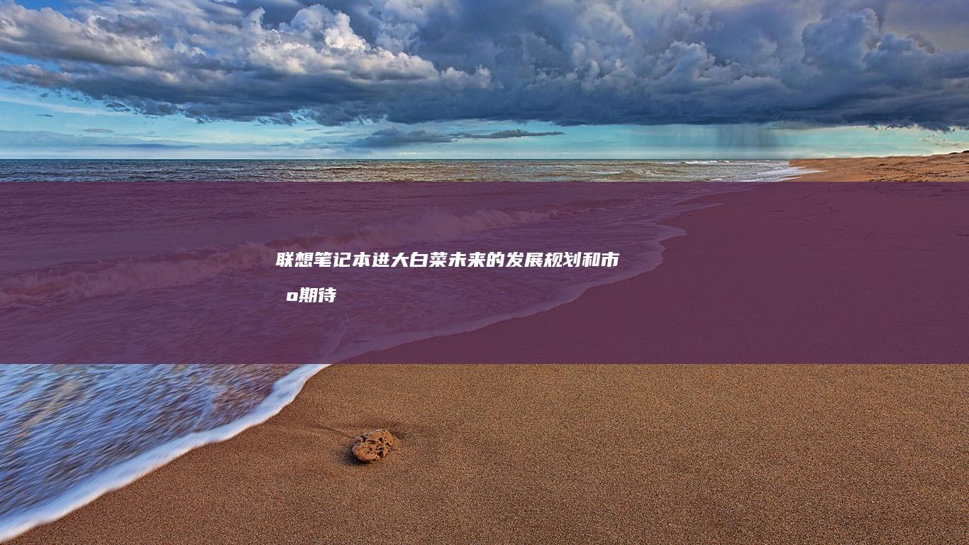 联想笔记本进大白菜：未来的发展规划和市场期待 (联想笔记本进u盘启动按什么键)