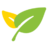 网校头条