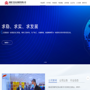新疆三宝实业集团有限公司